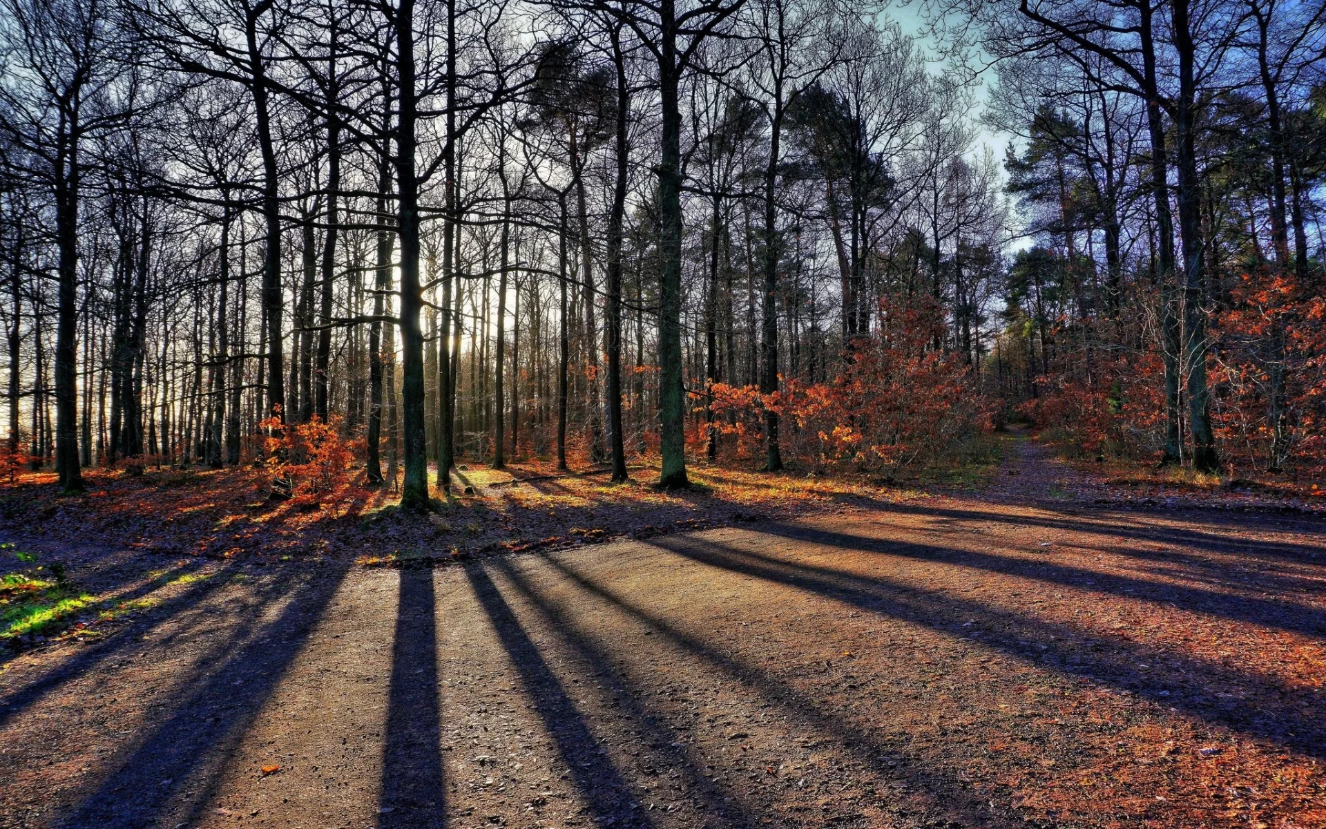 пейзаж, природа, красота