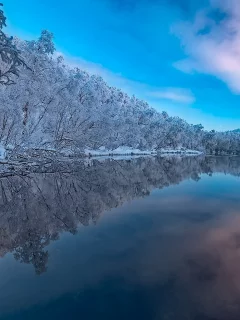 река, лес, зима