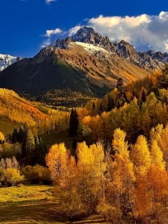 горы, лес, деревья, осень