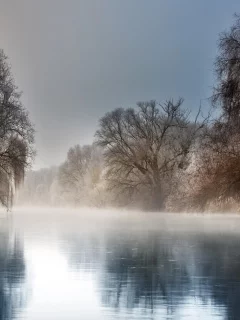 река, деревья, туман