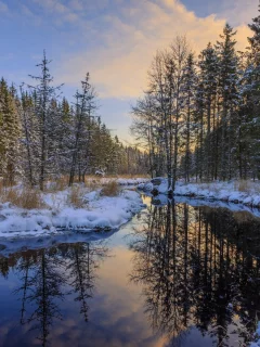 река, лес, деревья, зима