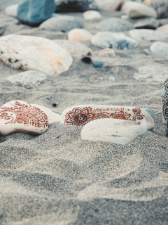пляж, песок, камни