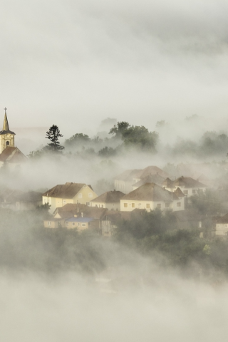 деревня, туман