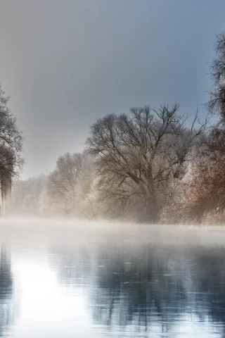 река, деревья, туман