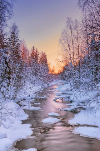 река, лес, зима, снег