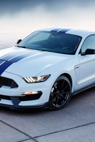 auto, ford mustang