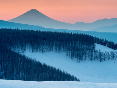 горы, лес, зима, закат