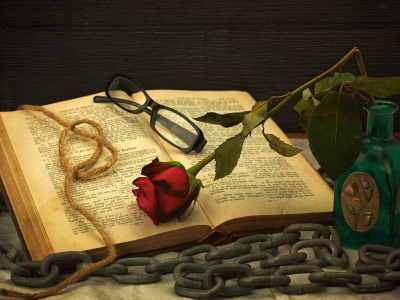 книга, очки, роза, цепь