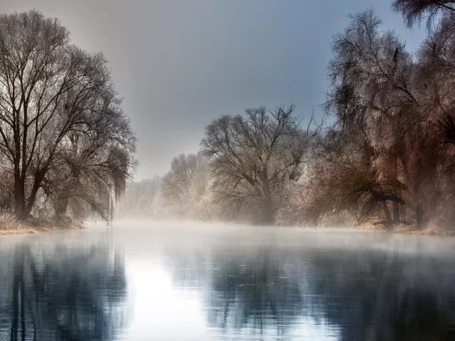 река, деревья, туман