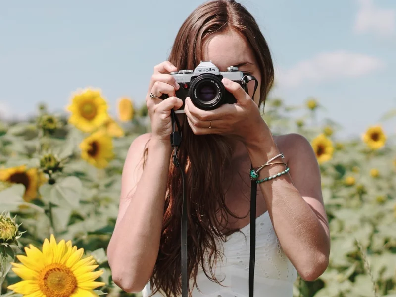 девушка, фотографирует, подсолнухи, поле