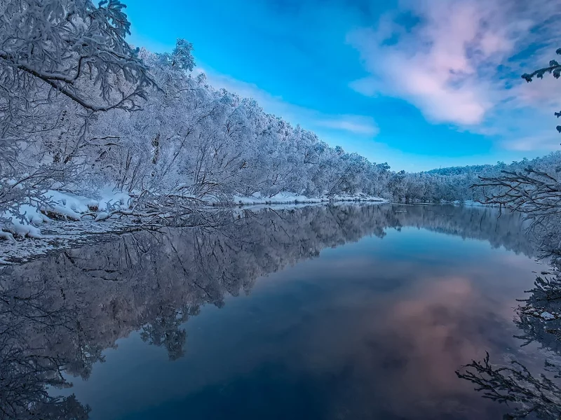река, лес, зима