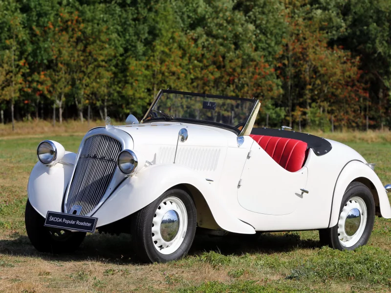 auto, skoda