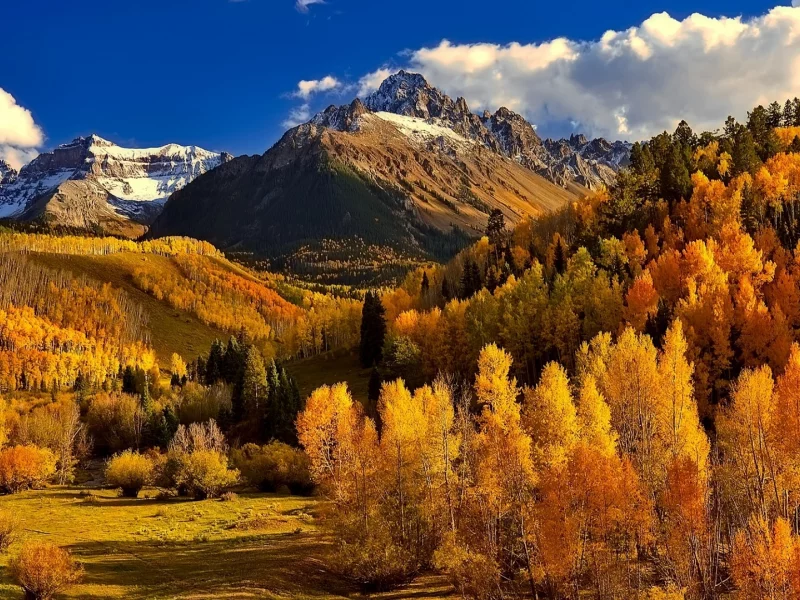 горы, лес, деревья, осень