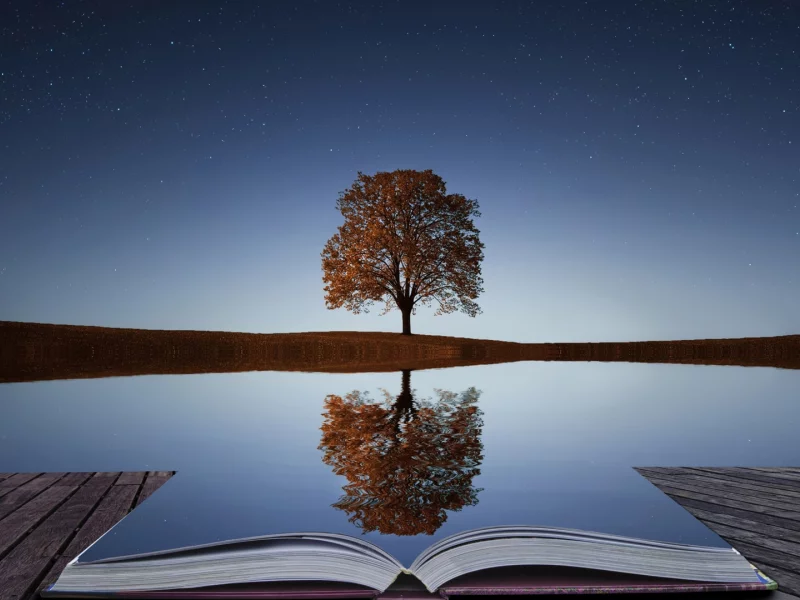 озеро книга, дерево