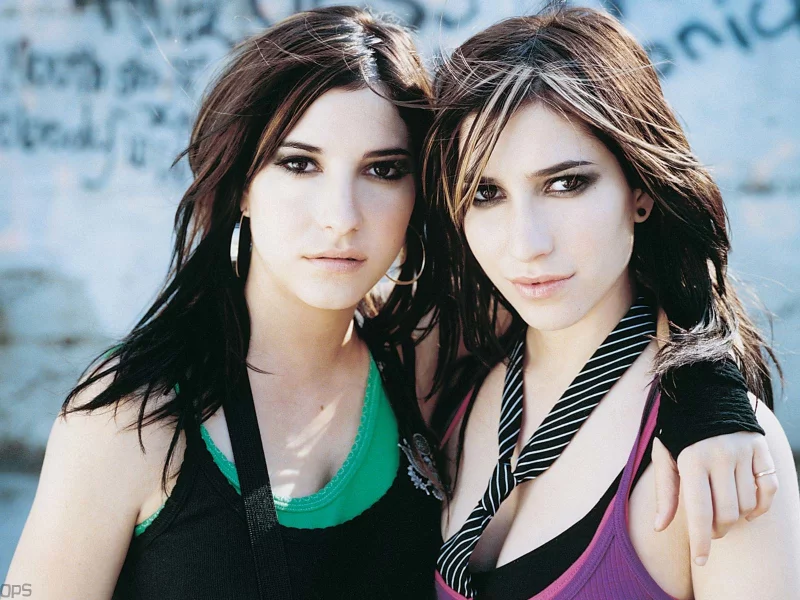 певицы, дуэт, the veronicas