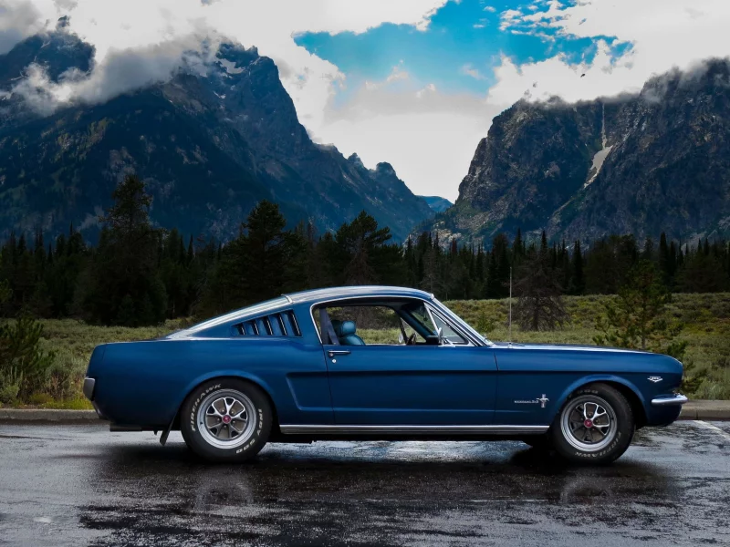 auto, ford mustang