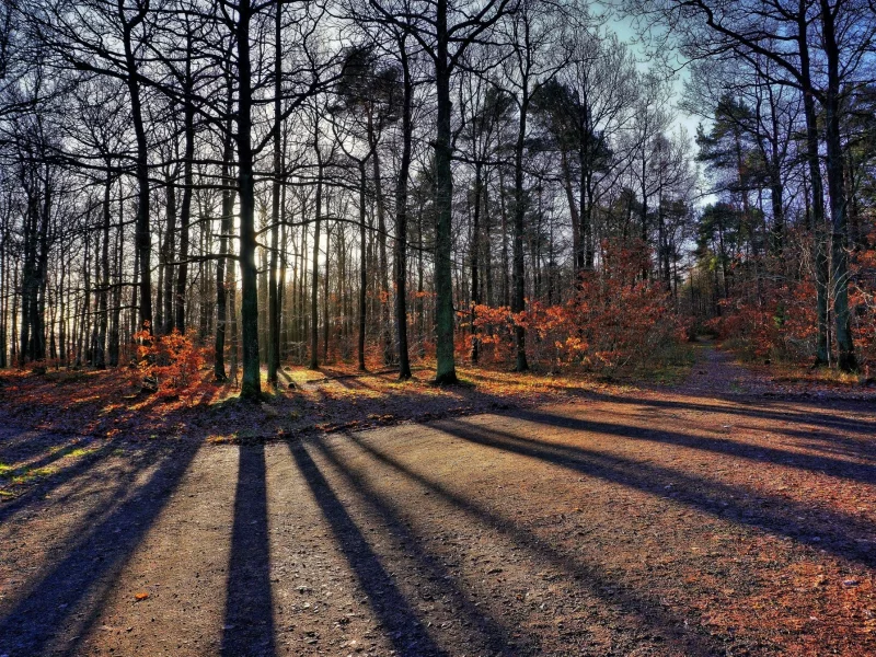 пейзаж, природа, красота