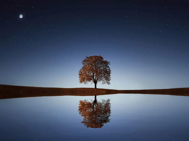 пейзаж, дерево, озеро, отражение