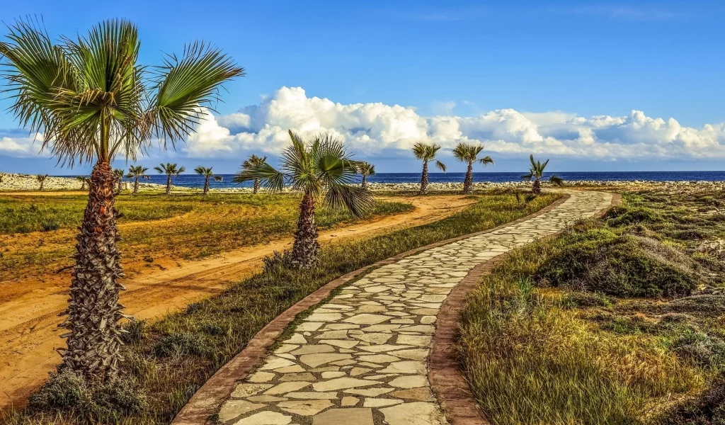 landscape, palm trees, footpath, sea, sky, nature