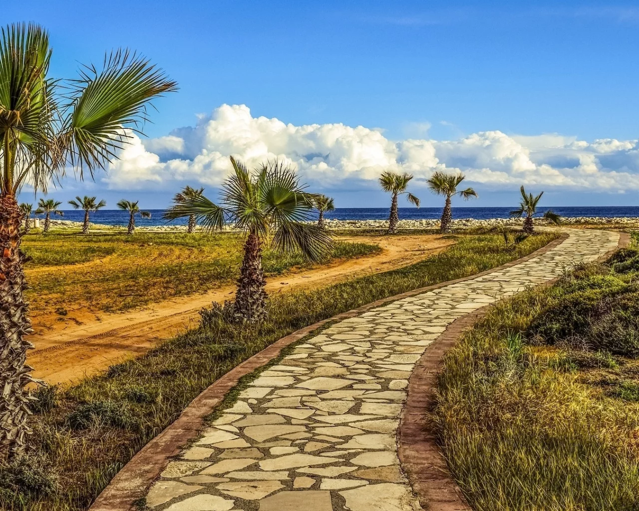 landscape, palm trees, footpath, sea, sky, nature
