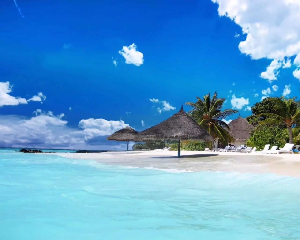 nature, sea, beach, tropics, palm trees