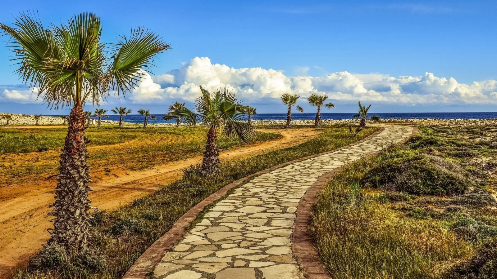 landscape, palm trees, footpath, sea, sky, nature
