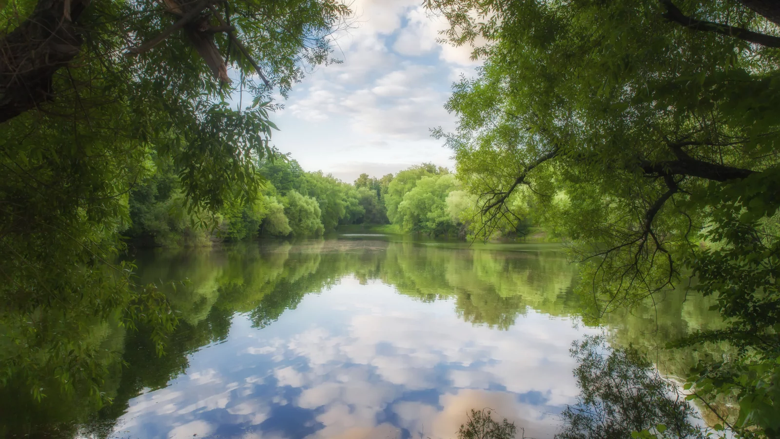 nature, landscape, park, pond, trees, evening