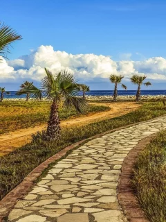 landscape, palm trees, footpath, sea, sky, nature