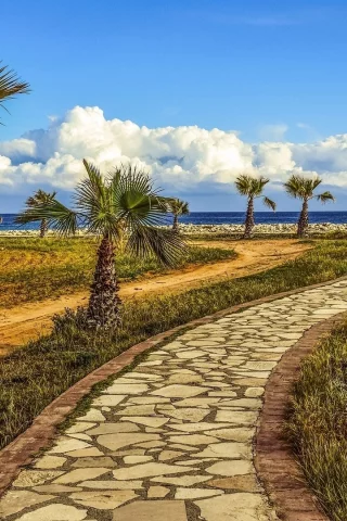 landscape, palm trees, footpath, sea, sky, nature
