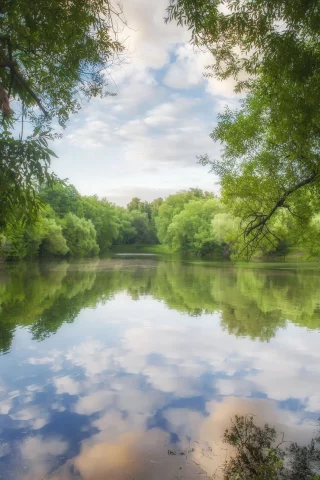 nature, landscape, park, pond, trees, evening