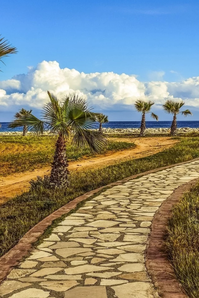 landscape, palm trees, footpath, sea, sky, nature