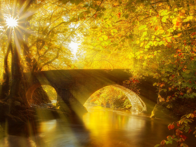 nature, sunrays, park, bridge, autumn, trees, river