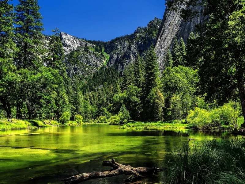 nature, lake, mountains, forest