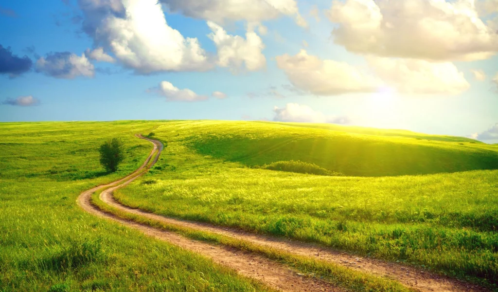 landscape, nature, field, road, sky