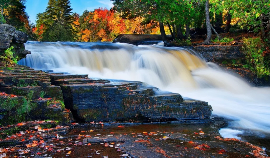 nature, forest, river, waterfall