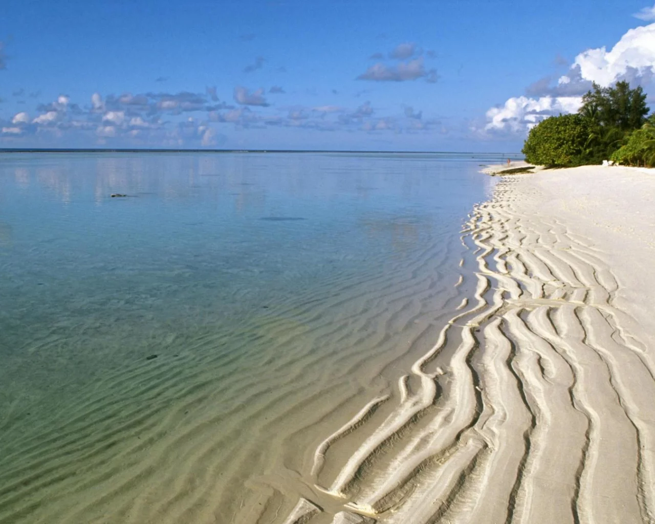 nature, sea, beach, sand