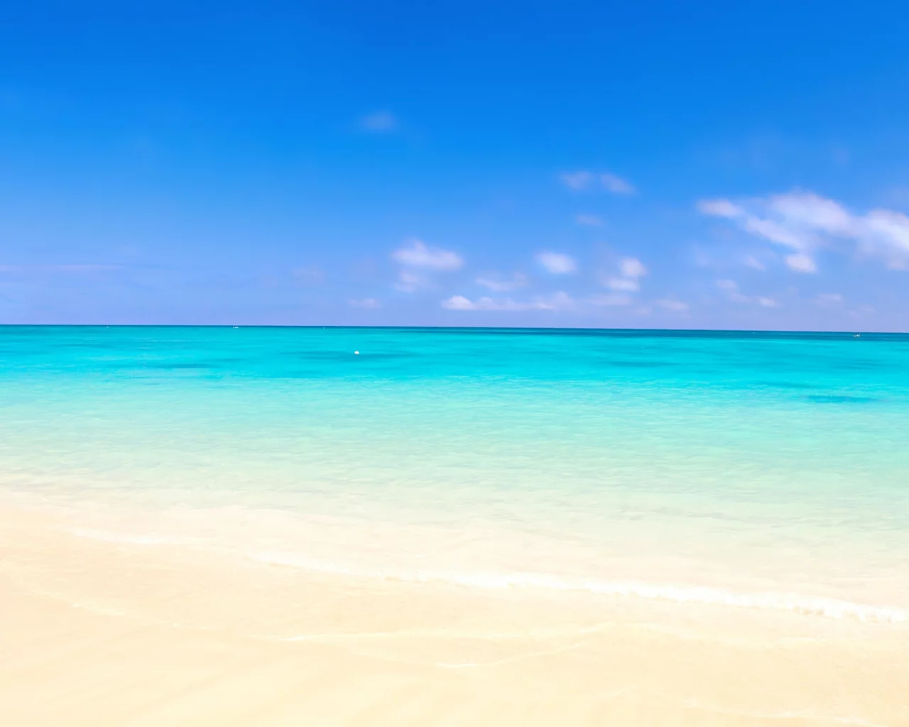 nature, sea, beach, sand