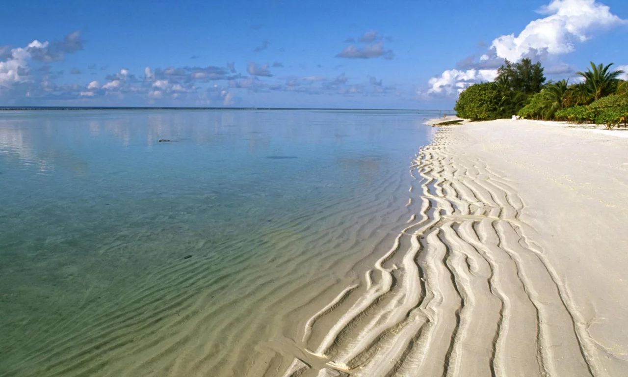 nature, sea, beach, sand