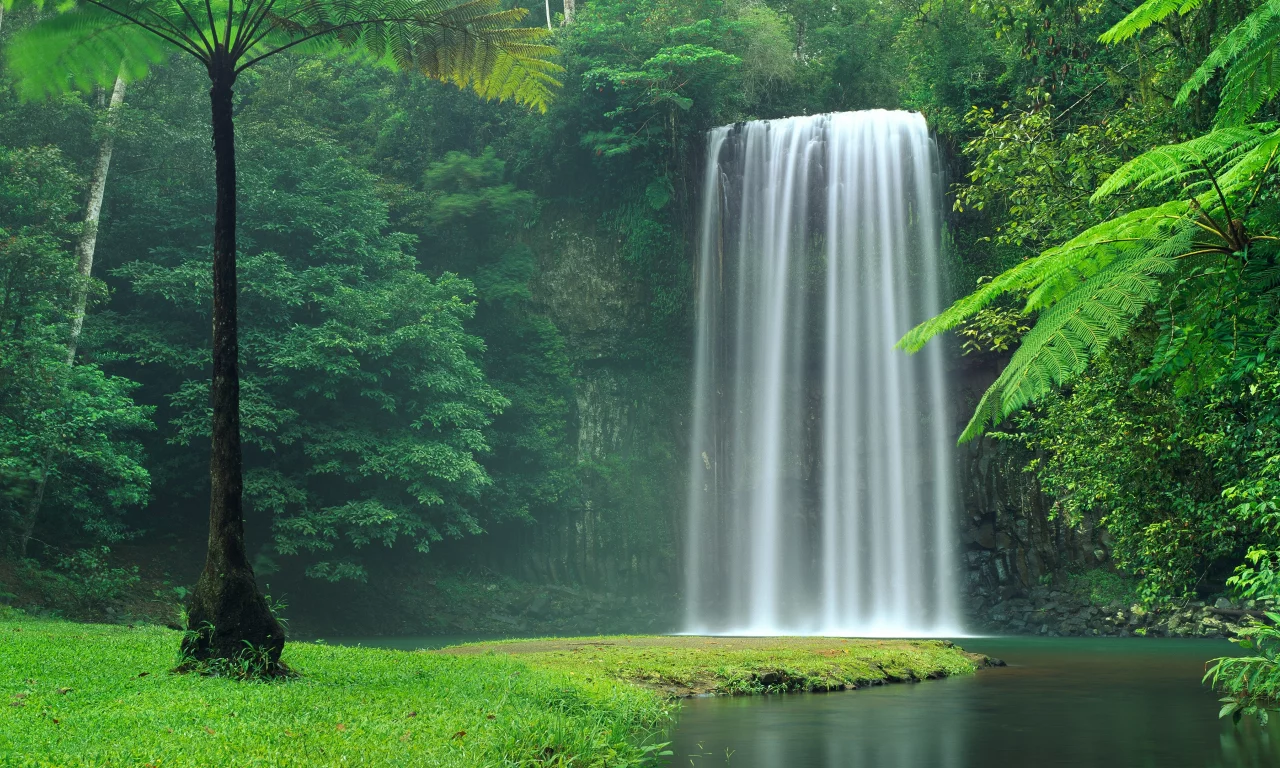 australia, stream, calm, falls, waterfall, nature