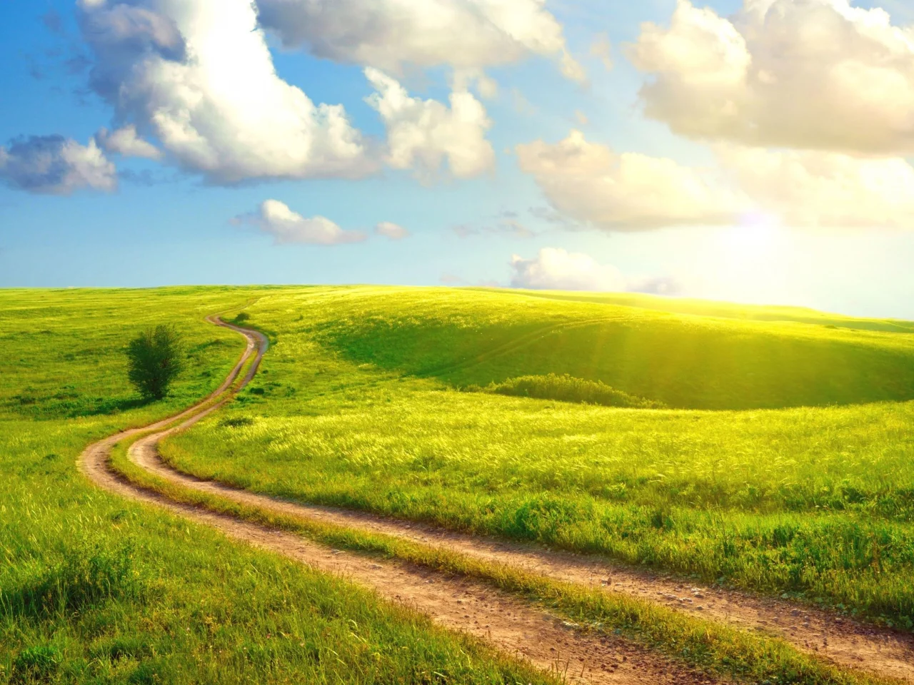 landscape, nature, field, road, sky