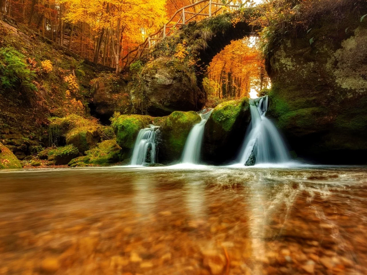 forest, nature, river, waterfall