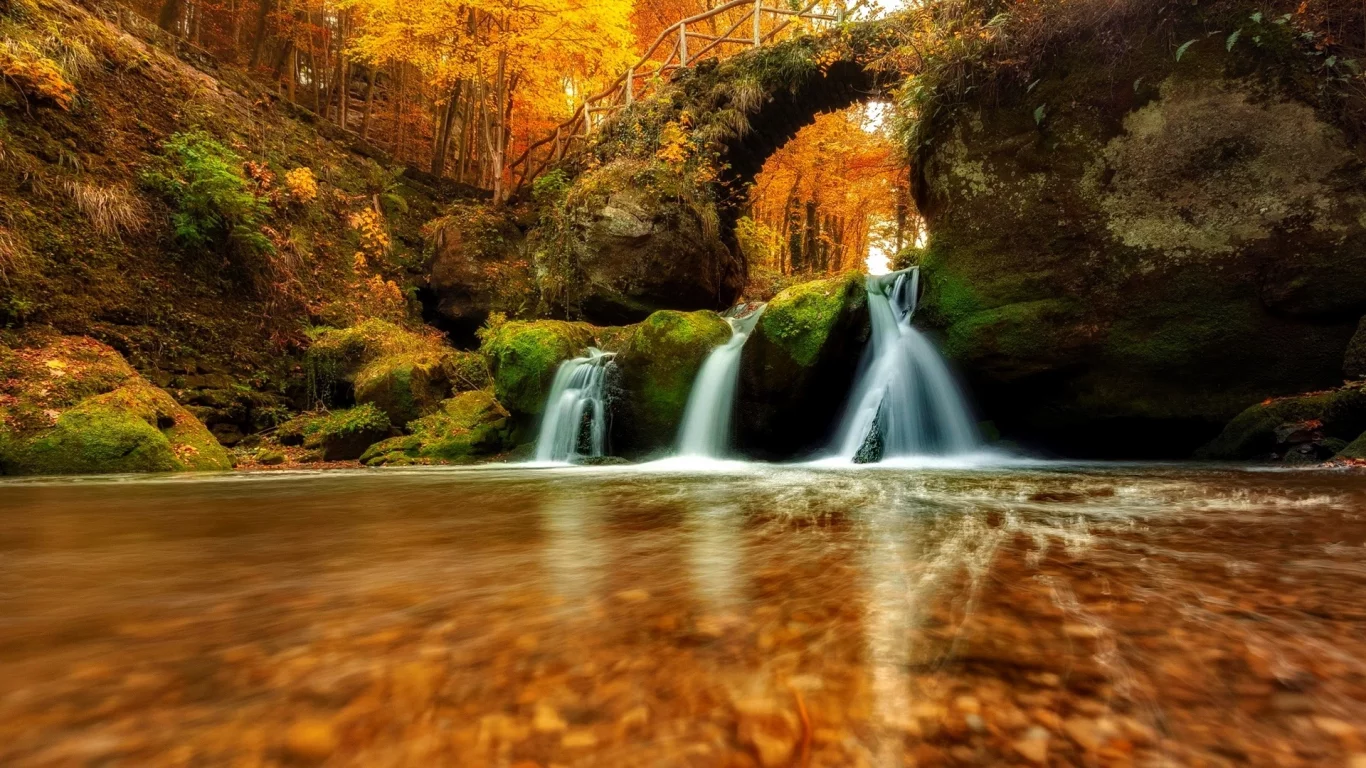 forest, nature, river, waterfall
