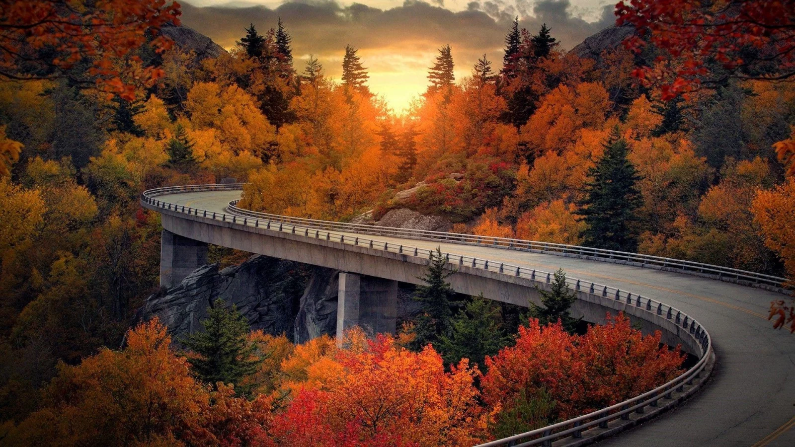 nature, forest, sunset, road, bridge
