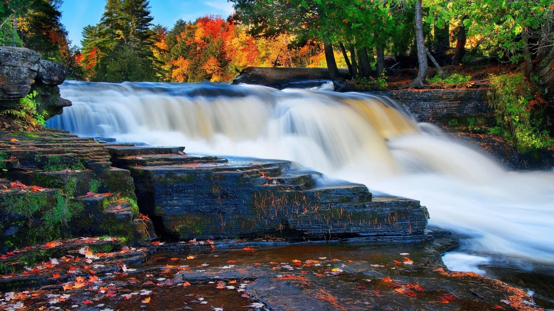 nature, forest, river, waterfall