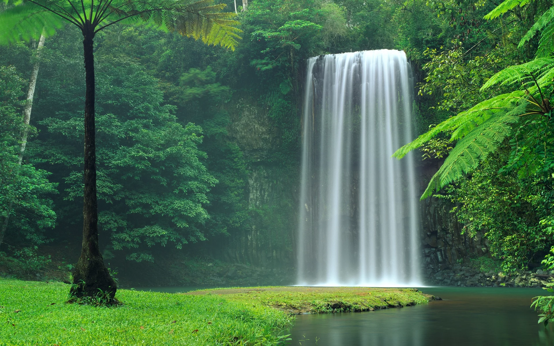 australia, stream, calm, falls, waterfall, nature