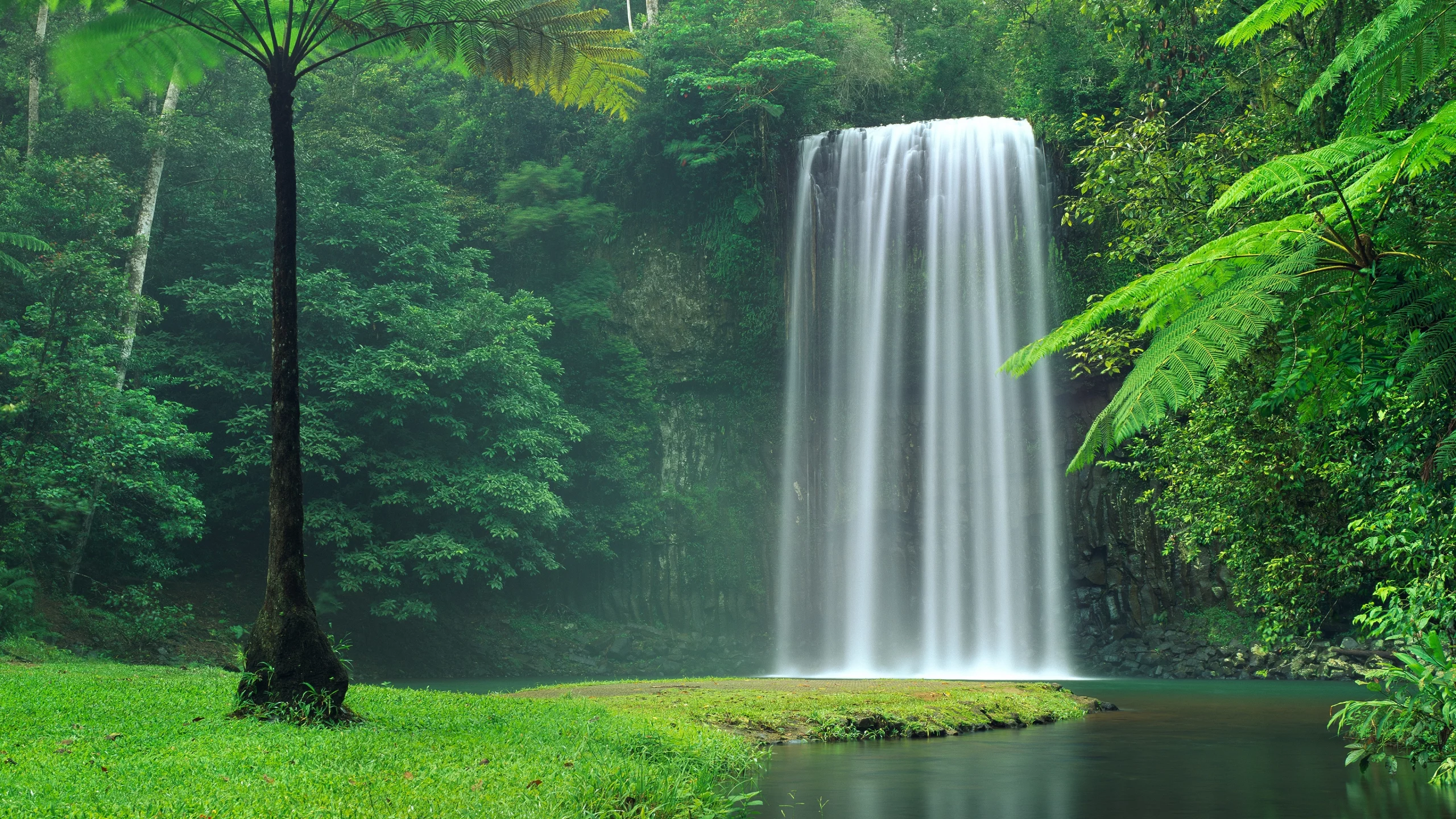 australia, stream, calm, falls, waterfall, nature