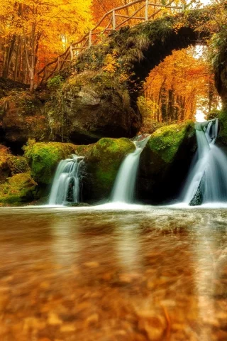 forest, nature, river, waterfall