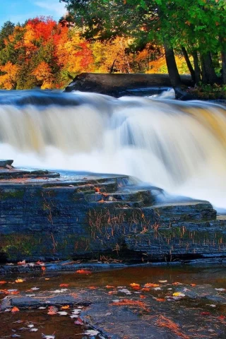 nature, forest, river, waterfall