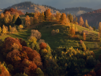 landscape, nature, forest, mountains