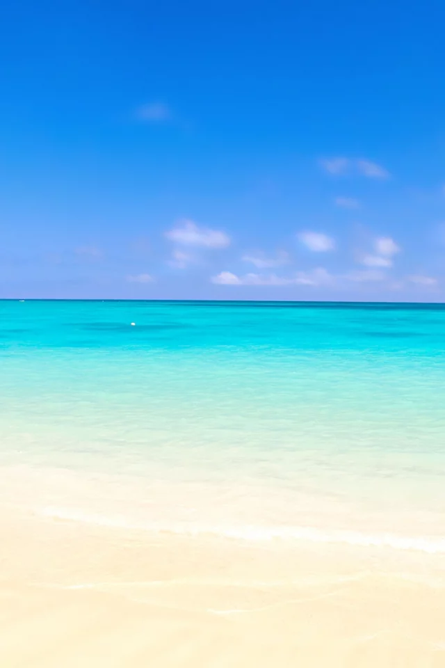 nature, sea, beach, sand